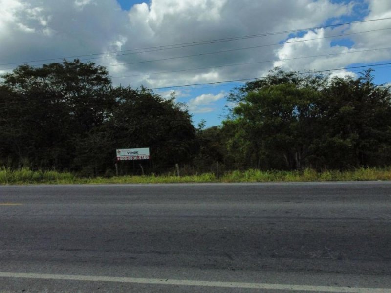 Foto Terreno en Venta en Liberia, Guanacaste - U$D 1.000.000 - TEV78398 - BienesOnLine