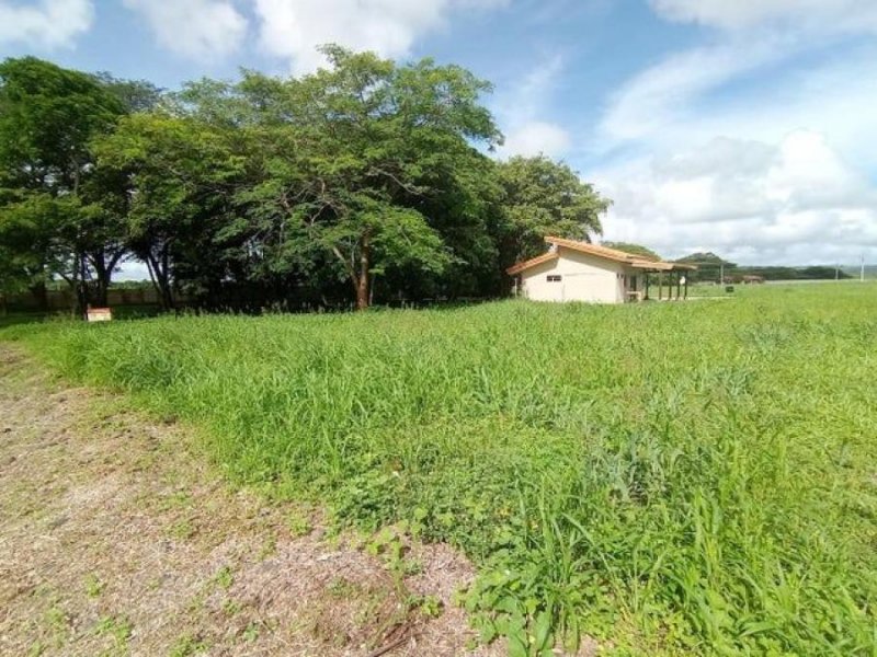 Terreno en Venta en  Liberia, Guanacaste