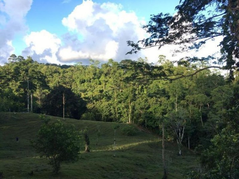 Foto Terreno en Venta en Limón, Limón - ¢ 42.000.000 - TEV55055 - BienesOnLine