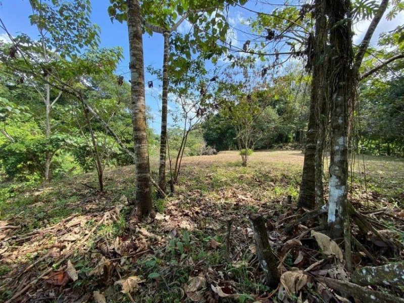 Terreno en Venta en  Talamanca, Limón