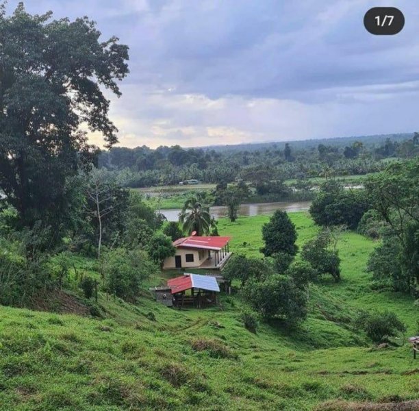 Terreno en Venta en  Pococí, Limón