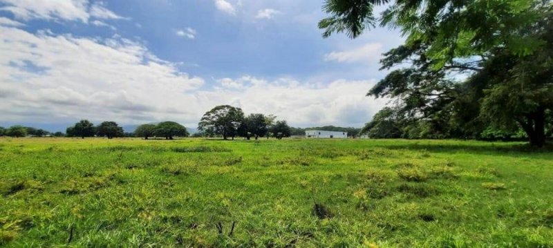 Terreno en Venta en  Montes de Oro, Puntarenas