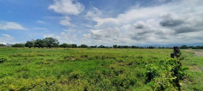 Terreno en Venta en  Montes de Oro, Puntarenas