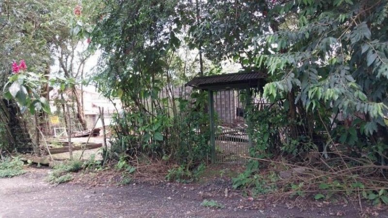 Foto Terreno en Venta en Mora, San José - ¢ 52.000.000 - TEV63142 - BienesOnLine