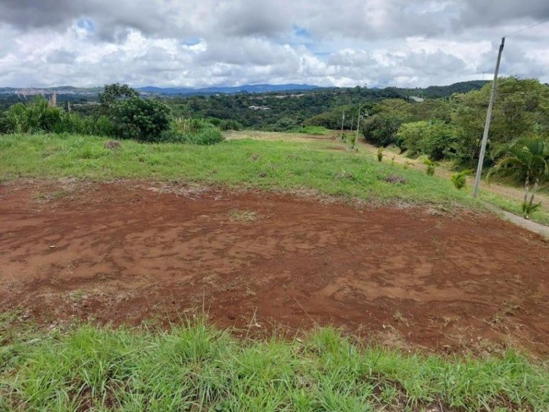 Terreno en Venta en  Naranjo, Alajuela