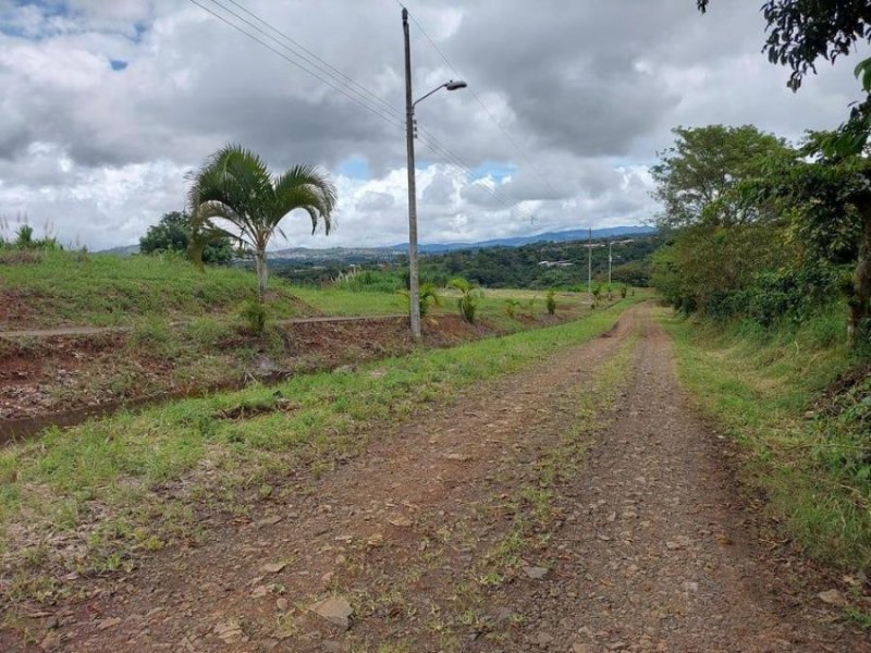 Terreno en Venta en  Naranjo, Alajuela