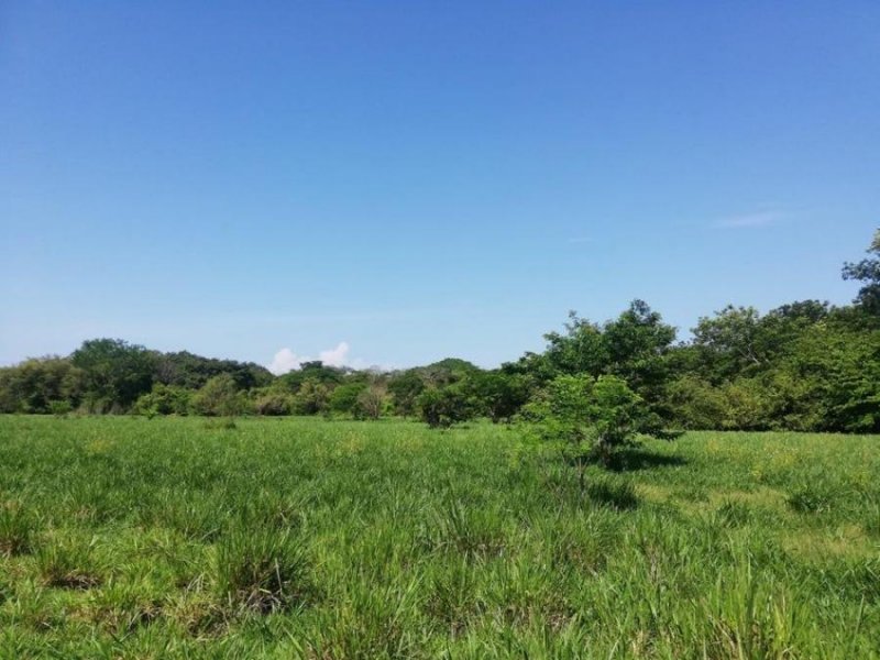 Terreno en Venta en  Nicoya, Guanacaste