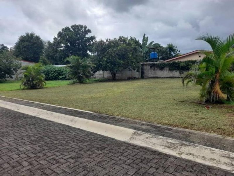 Foto Terreno en Venta en Orotina, Alajuela - ¢ 28.000.000 - TEV62167 - BienesOnLine