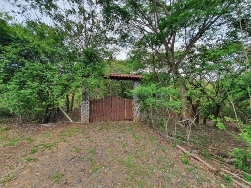 Foto Terreno en Venta en Orotina, Alajuela - U$D 120.000 - TEV73965 - BienesOnLine