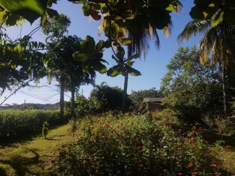 Foto Terreno en Venta en Orotina, Alajuela - U$D 71.600 - TEV74464 - BienesOnLine