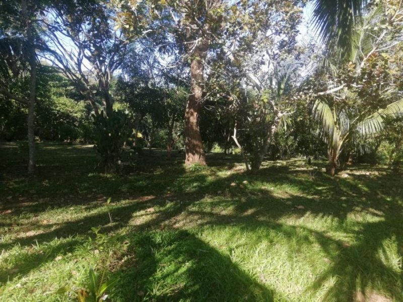 Foto Terreno en Venta en Orotina, Orotina, Alajuela - U$D 85.900 - TEV39566 - BienesOnLine