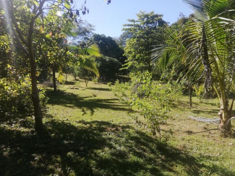 Foto Terreno en Venta en Orotina, Orotina, Alajuela - U$D 78.960 - TEV39564 - BienesOnLine