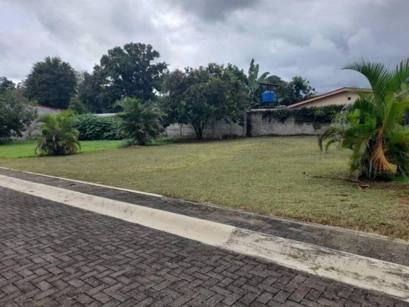 Foto Terreno en Venta en Orotina, Alajuela - ¢ 20.636.400 - TEV101888 - BienesOnLine