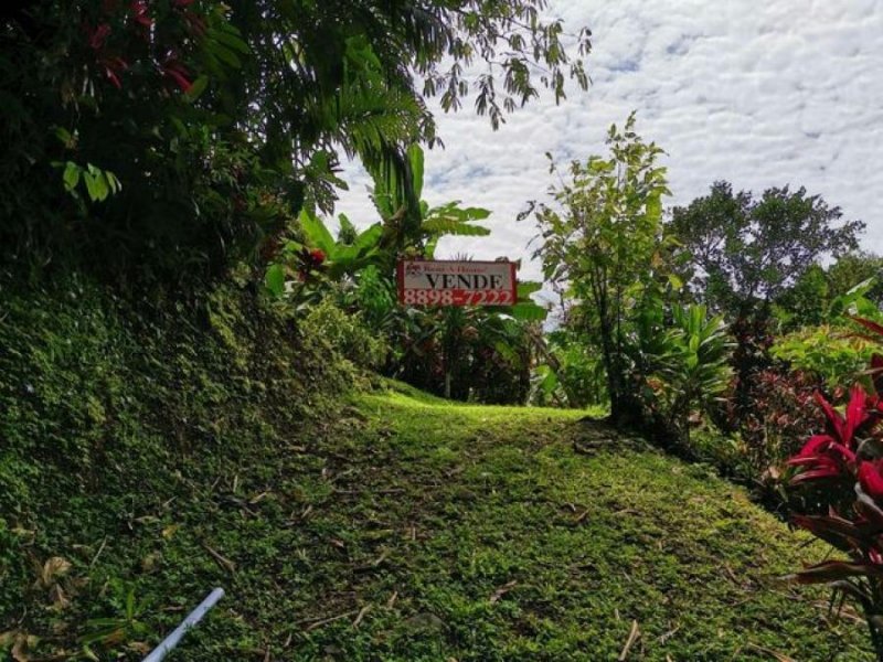 Foto Terreno en Venta en Osa, Osa, Puntarenas - ¢ 34.000.000 - TEV53063 - BienesOnLine