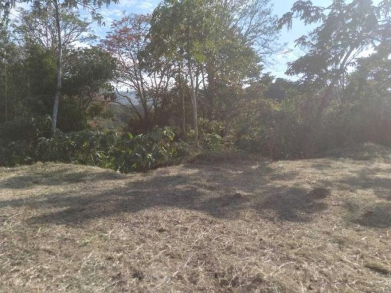 Foto Terreno en Venta en Palmares, Alajuela - ¢ 22.000.000 - TEV58385 - BienesOnLine