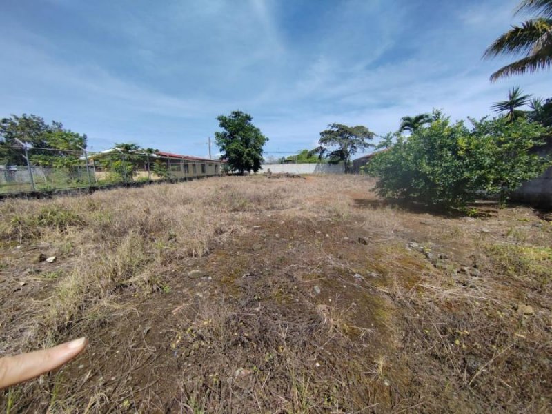 Foto Terreno en Venta en San Isidro General, San José - ¢ 50.000.000 - TEV92801 - BienesOnLine