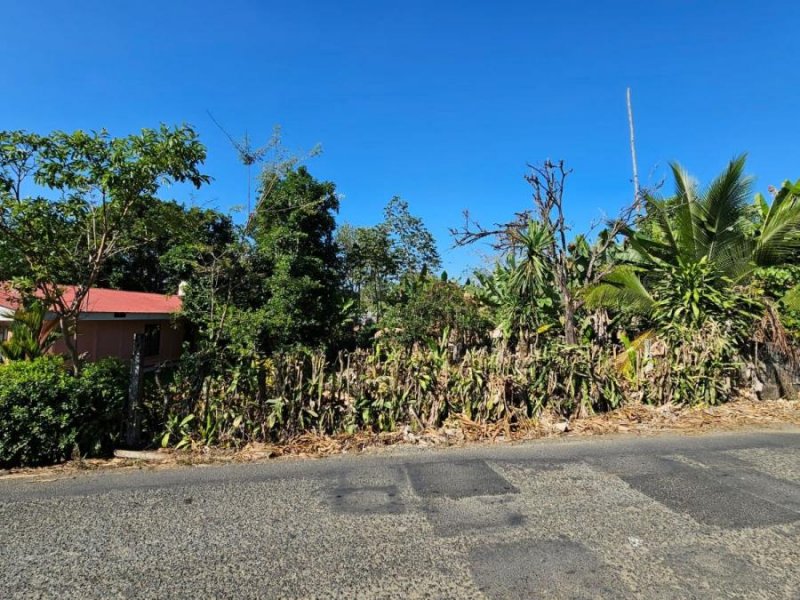 Terreno en Venta en  Perez Zeledón, San José