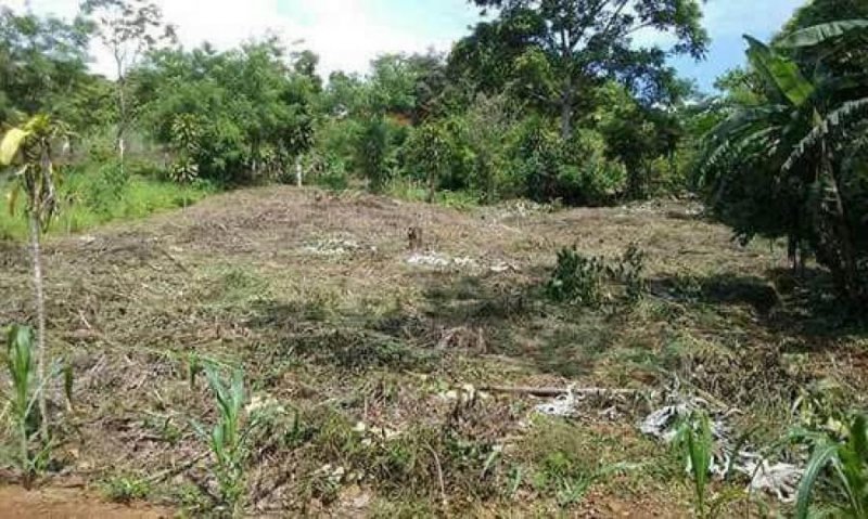 Foto Terreno en Venta en Perez Zeledón, San José - ¢ 16.000.000 - TEV50144 - BienesOnLine