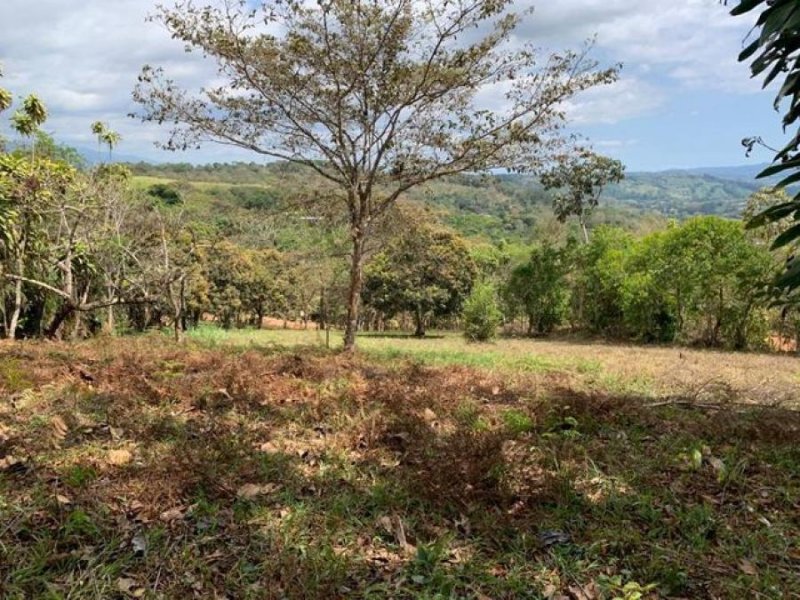 Foto Terreno en Venta en El Rosario de Pacuar, Perez Zeledón, San José - ¢ 33.000.000 - TEV50227 - BienesOnLine