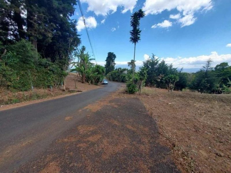 Foto Terreno en Venta en Barrio, Poás, Alajuela - ¢ 90.000.000 - TEV47030 - BienesOnLine