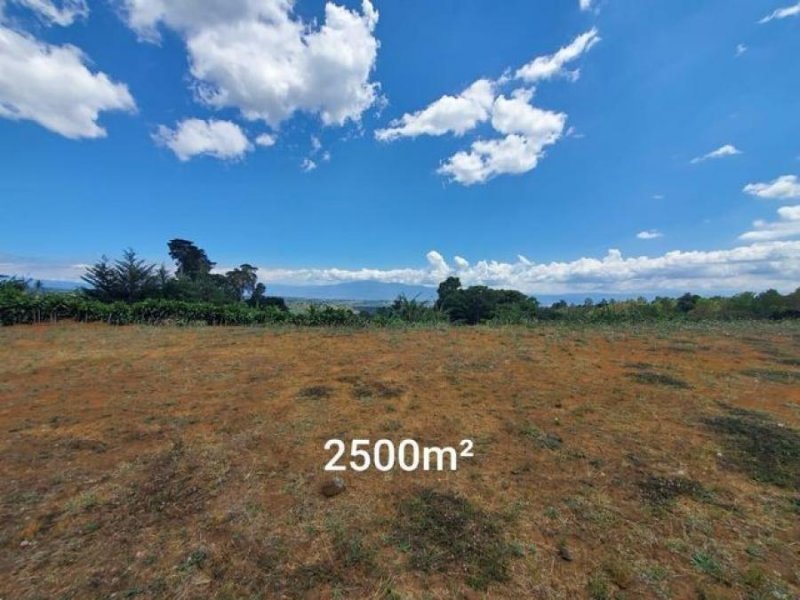 Foto Terreno en Venta en Poas, Poás, Alajuela - ¢ 87.000.000 - TEV47082 - BienesOnLine