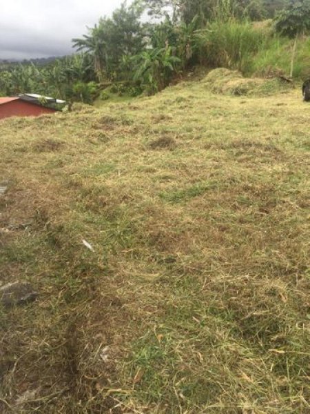 Foto Terreno en Venta en Poás, Alajuela - ¢ 41.000.000 - TEV63683 - BienesOnLine