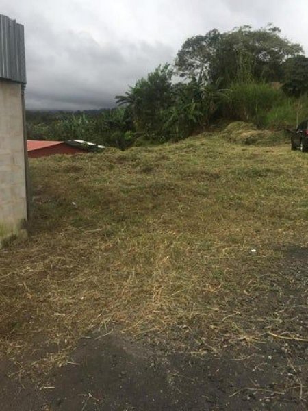 Foto Terreno en Venta en Poás, Alajuela - ¢ 42.000.000 - TEV76198 - BienesOnLine