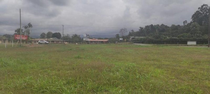 Foto Terreno en Venta en Guápiles, Pococí, Limón - U$D 423.000 - TEV57821 - BienesOnLine