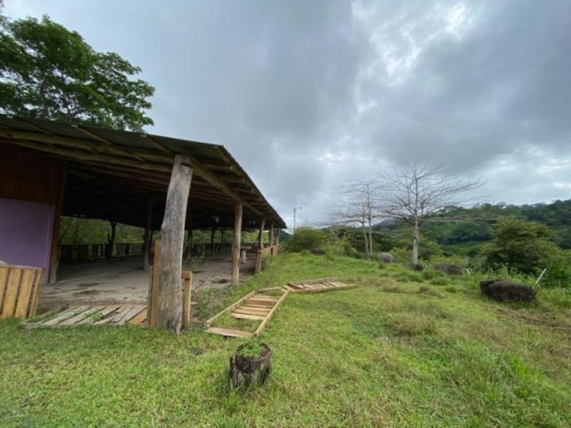 Foto Terreno en Venta en Puntarenas, Puntarenas, Puntarenas - U$D 760.000 - TEV50609 - BienesOnLine