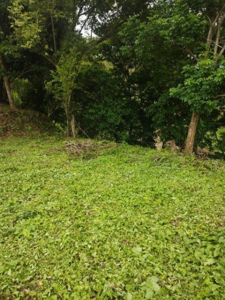 Foto Terreno en Venta en Garabito, Puntarenas - U$D 66.000 - TEV81304 - BienesOnLine