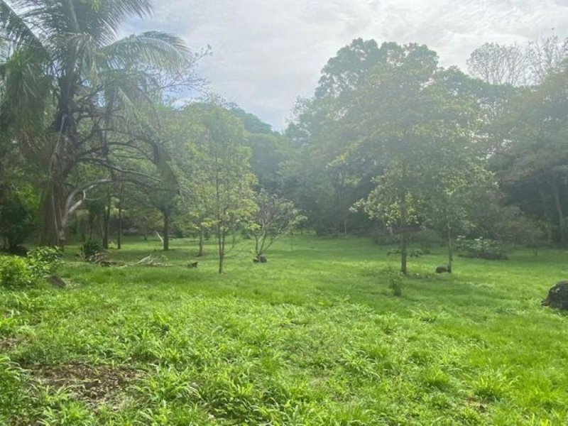 Foto Terreno en Venta en Puriscal, San José - ¢ 84.000.000 - TEV63526 - BienesOnLine