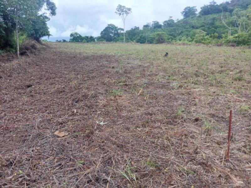 Terreno en Venta en Morenas Quepos, Puntarenas