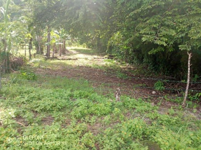 Foto Terreno en Venta en Quepos, Puntarenas - ¢ 30.000.000 - TEV62357 - BienesOnLine