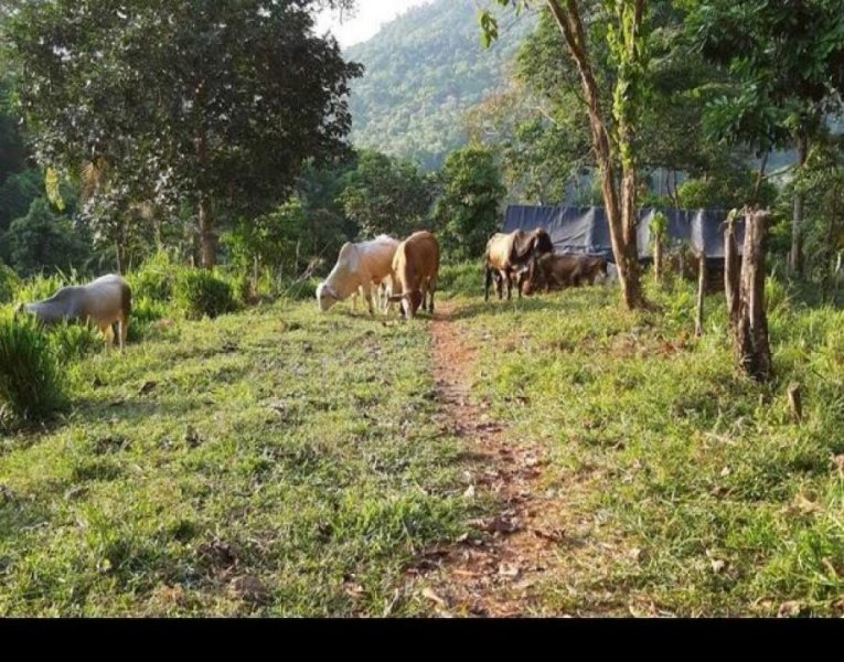 Venta de Lote en Quepos, Puntarenas. 