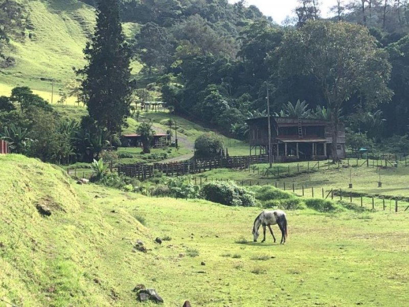 Finca en Venta en  Rancho Redondo, San José