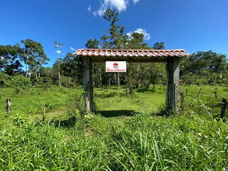 Foto Terreno en Venta en Carrizal, Río Cuarto, Alajuela - U$D 50.000 - TEV54366 - BienesOnLine