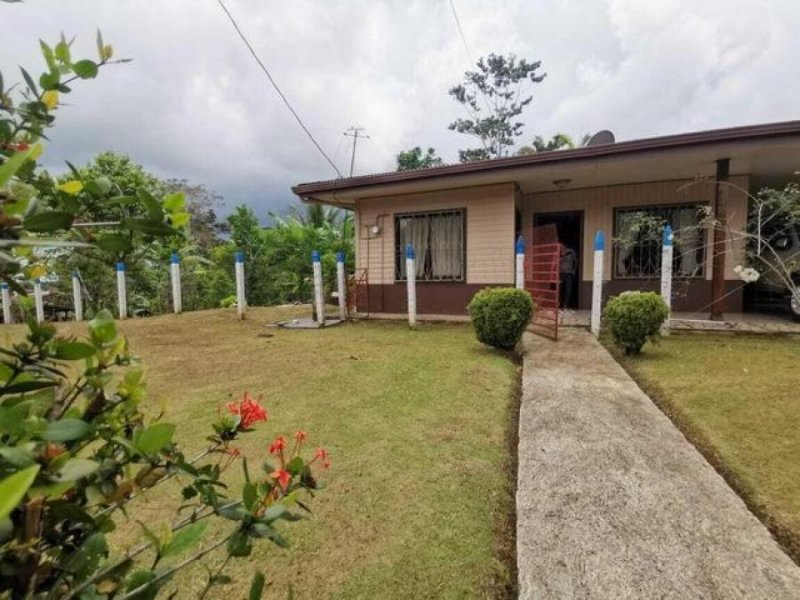 Foto Terreno en Venta en Venecia, San Carlos, Alajuela - U$D 185.000 - TEV41549 - BienesOnLine