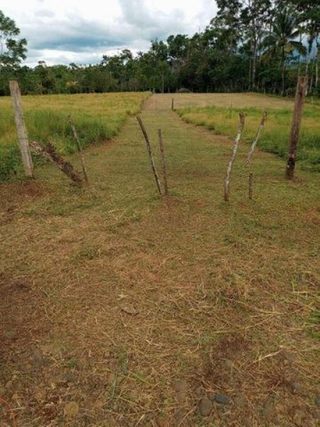 Foto Terreno en Venta en La Tigra, San Carlos, Alajuela - ¢ 23.000.000 - TEV47863 - BienesOnLine