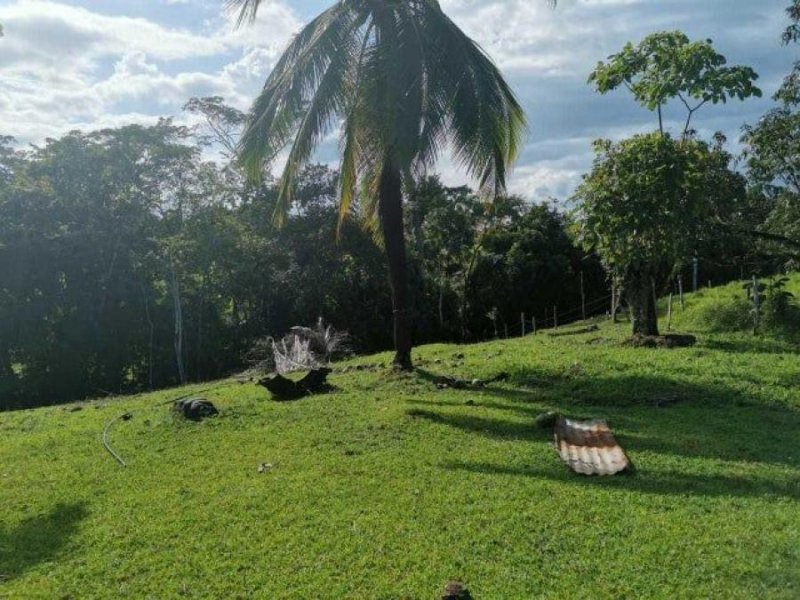 Foto Terreno en Venta en San Carlos, Alajuela - U$D 1.799.998 - TEV78616 - BienesOnLine