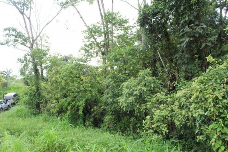 Foto Terreno en Venta en San Cristóbal, Perez Zeledón, San José - ¢ 40.000.000 - TEV55658 - BienesOnLine