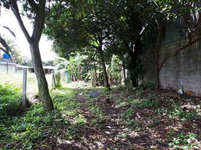 Foto Terreno en Venta en San Francisco, San Francisco de Dos Ríos, San José - U$D 141.000 - TEV38451 - BienesOnLine