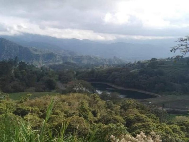 Foto Terreno en Venta en San Isidro, Alvarado, Cartago - ¢ 15.000.000 - TEV48731 - BienesOnLine