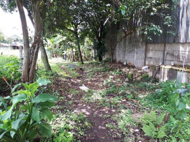 Foto Terreno en Venta en San José, San José - ¢ 78.000.000 - TEV63794 - BienesOnLine