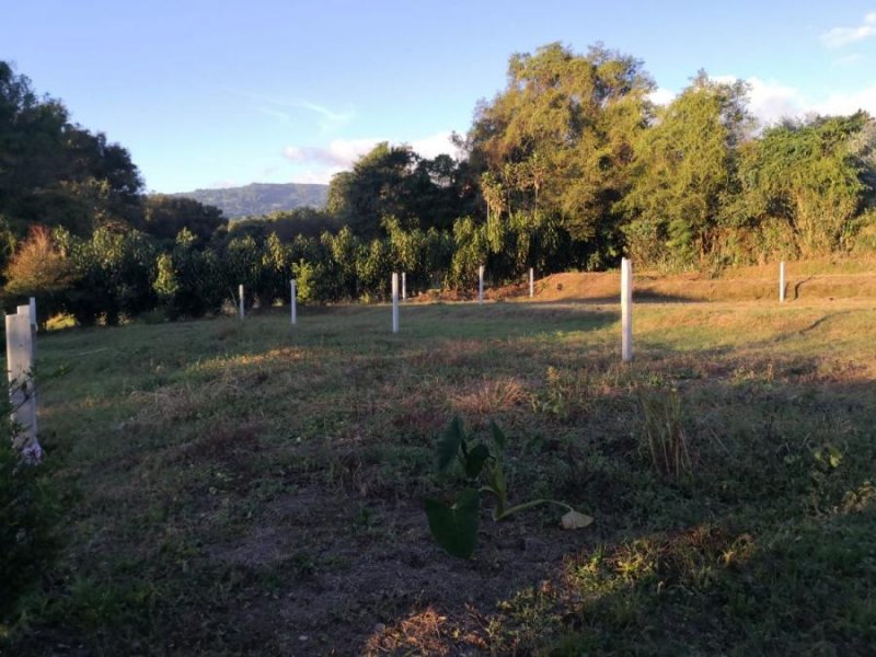 Terreno en Venta en  San Jose de La MOntaña, Heredia