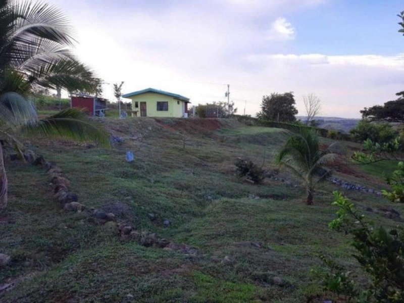 Foto Terreno en Venta en Jesús María, San Mateo, Alajuela - U$D 160.000 - TEV39089 - BienesOnLine