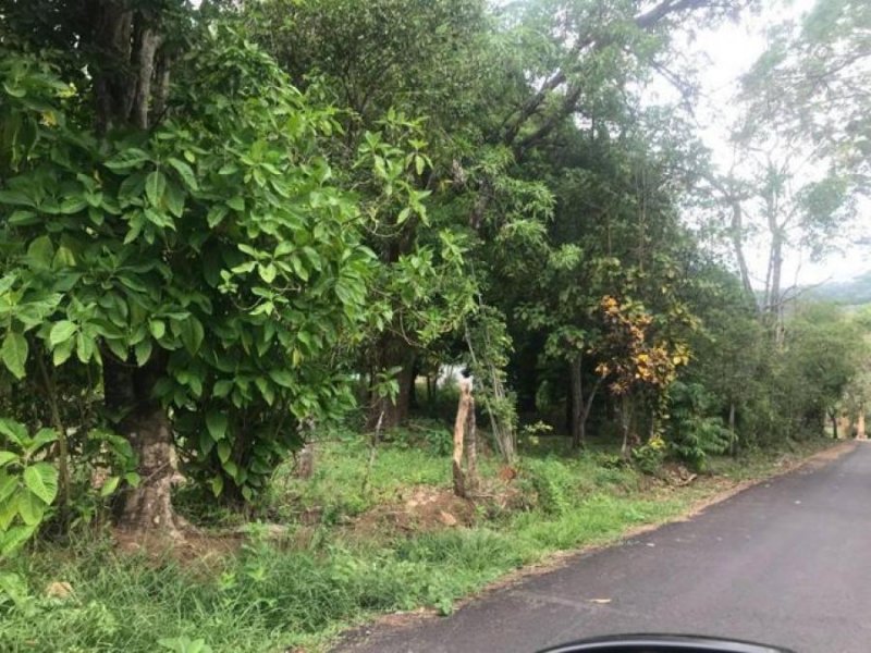 Foto Terreno en Venta en San Mateo, San Mateo, Alajuela - ¢ 179.000.000 - TEV53521 - BienesOnLine