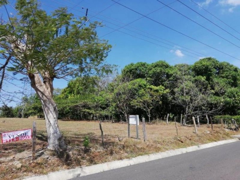 Terreno en Venta en  San Mateo, Alajuela