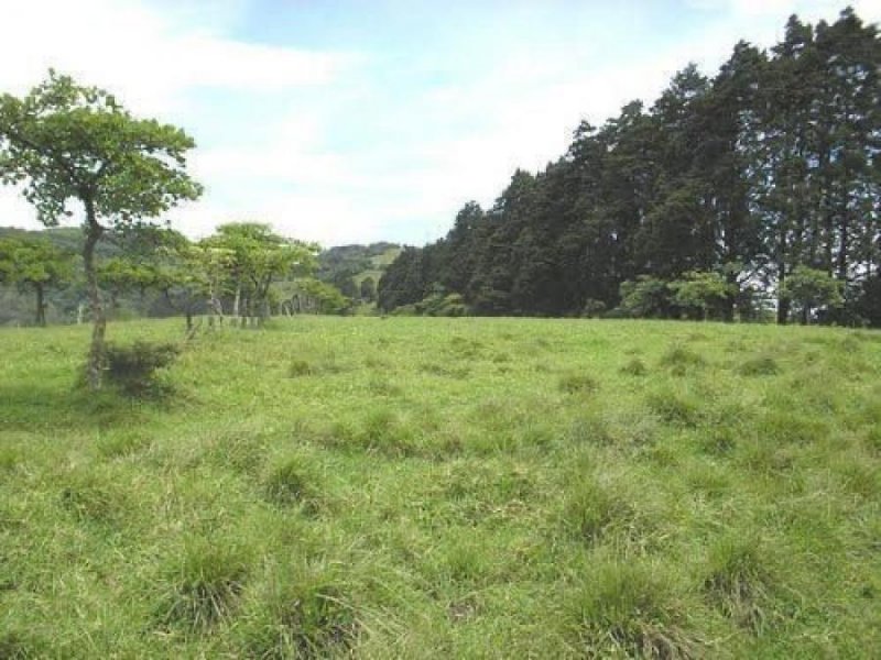 Terreno en Venta en  San Nicolás, Cartago