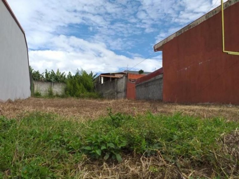 Foto Terreno en Venta en San Pablo, Heredia - ¢ 45.000.000 - TEV32835 - BienesOnLine