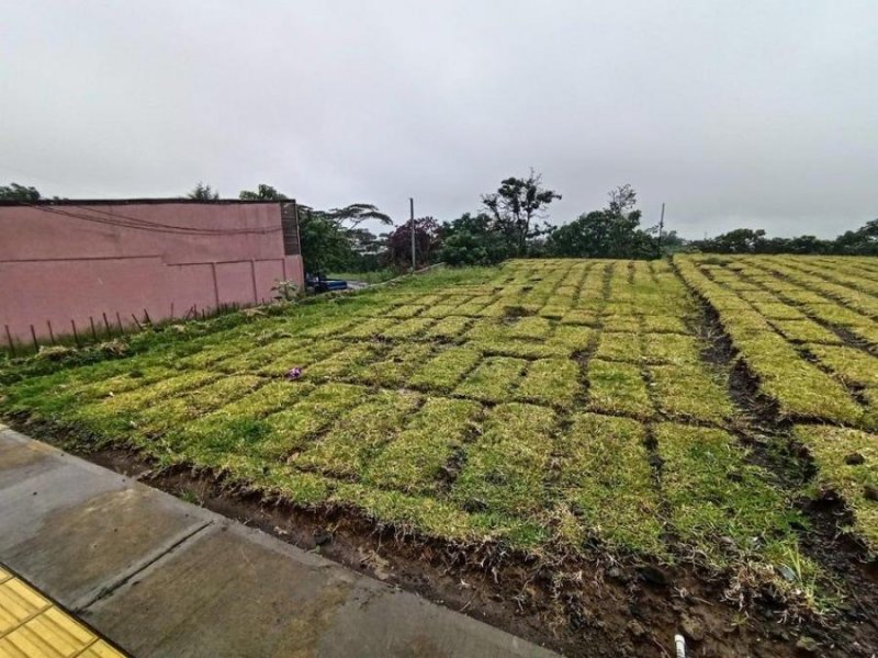 Terreno en Venta en  San Pablo, Heredia